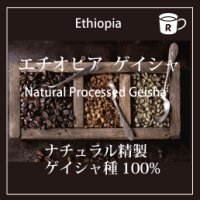 エチオピア ナチュラル ゲイシャ　　 ケビルゲイシャ農園
