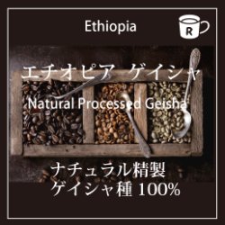 画像1: エチオピア ナチュラル ゲイシャ　　 ケビルゲイシャ農園