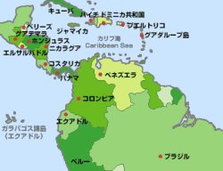 画像2: カリビアン クイーン