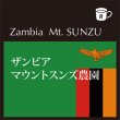 画像1: ザンビア　マウントスンズ農園