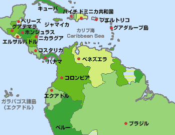 画像2: カリビアン クイーン